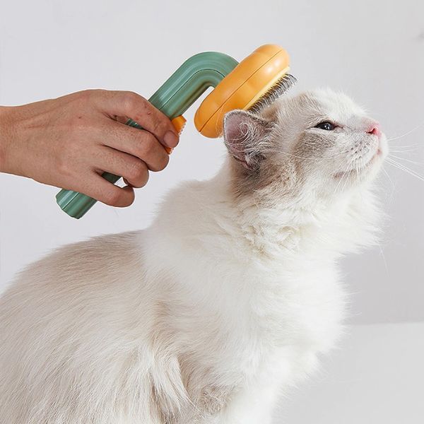 Perie Par Animale in Forma de Dovleac cu Maner si Cap Floare pentru Par cu Buton de Autocuratare